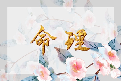 火土金取名 女人取名字大全 测五行取名字 重新起名字 命取名生辰八字 美腾取名
